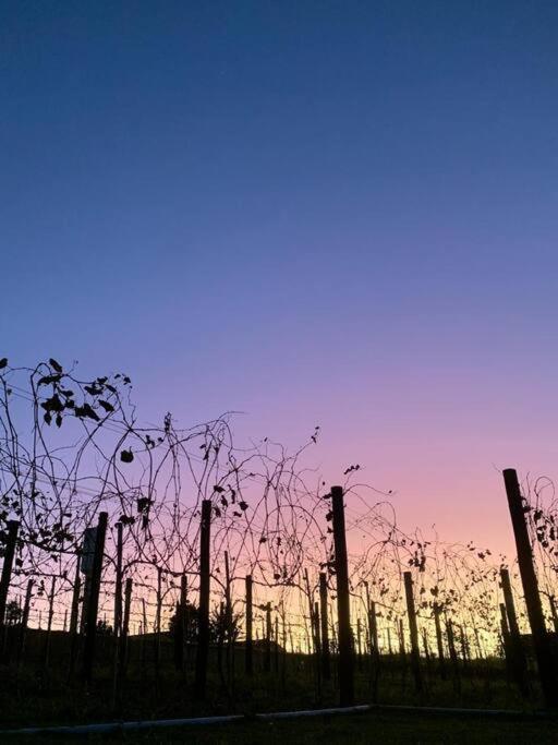 Quarto Dos Vinhos Villa São Roque Esterno foto